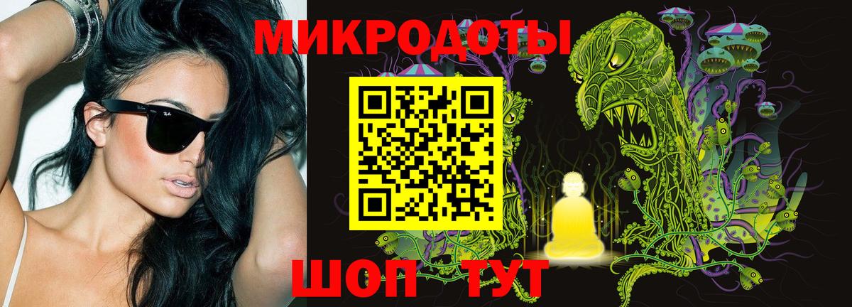 Псилоцибиновые грибы Psilocybe Кемерово
